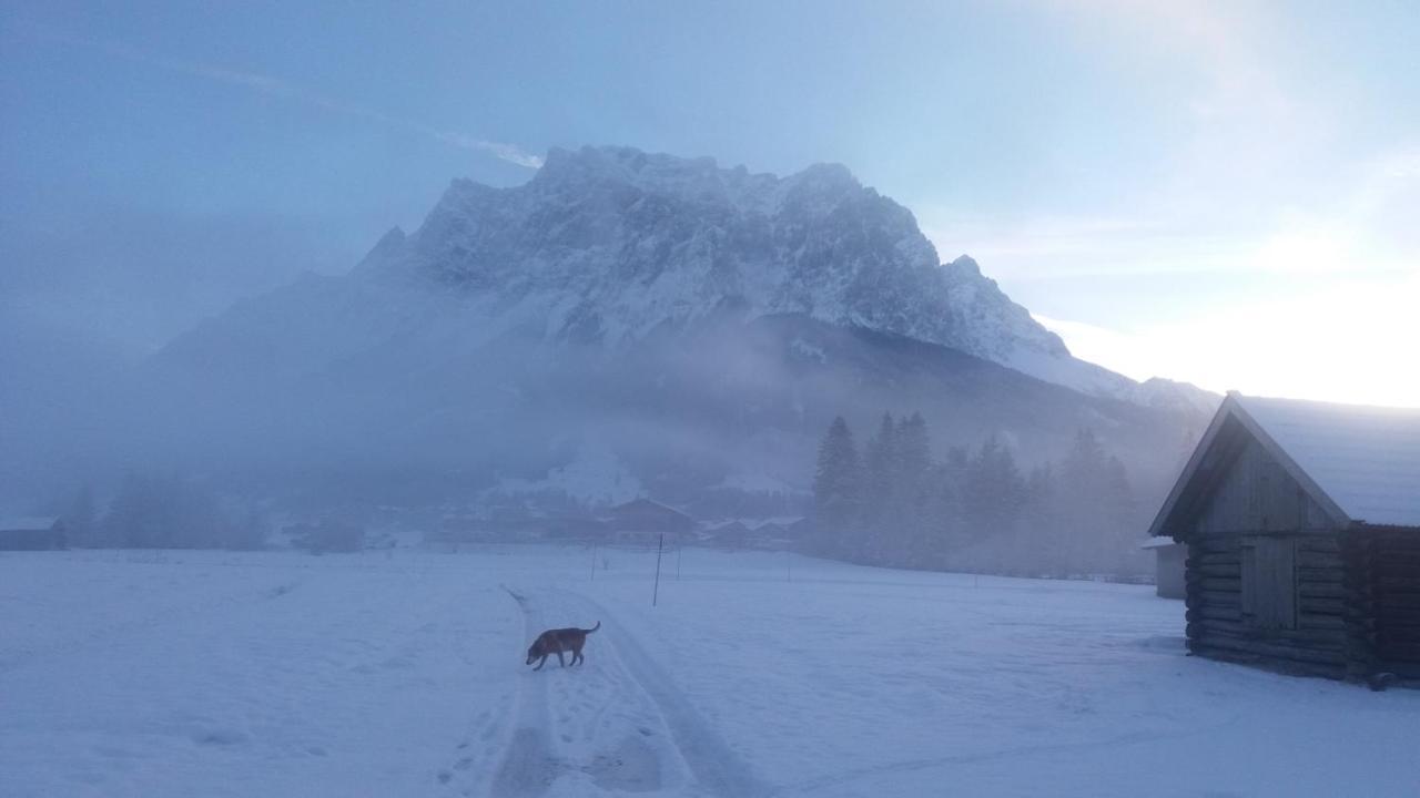 Tyrol Appartements Ehrwald Exteriér fotografie