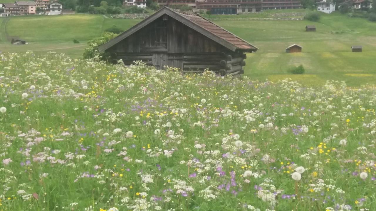 Tyrol Appartements Ehrwald Exteriér fotografie